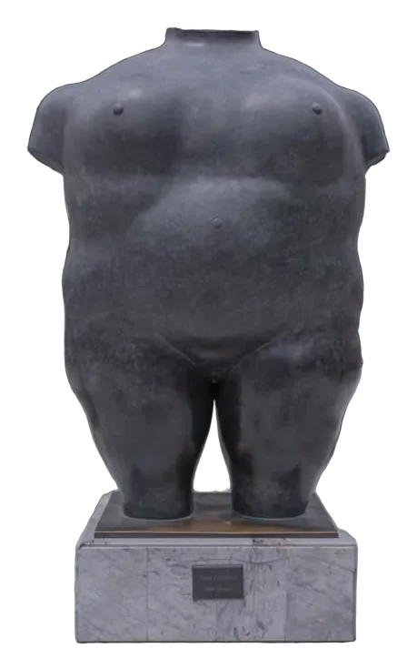 TORSO FEMENINO