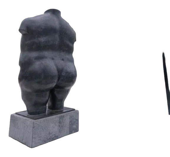 TORSO FEMENINO