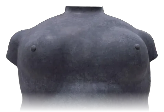 TORSO FEMENINO