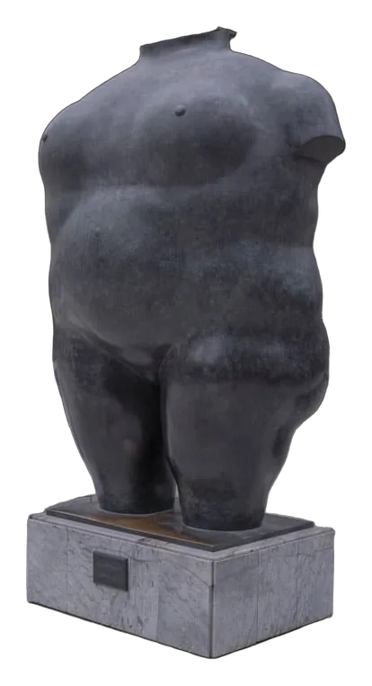 TORSO FEMENINO