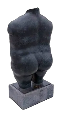 TORSO FEMENINO