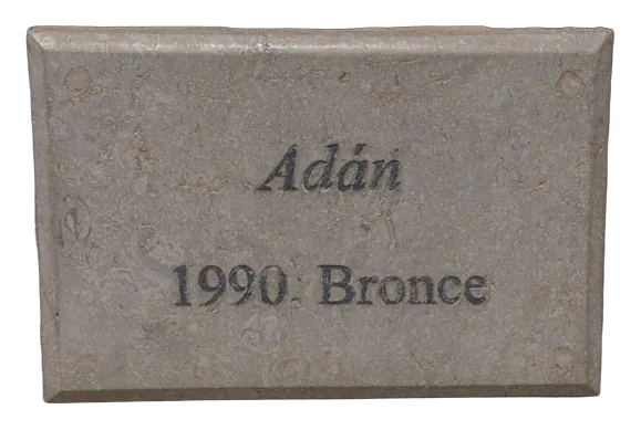 ADAN