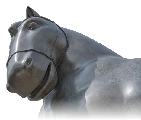 CABALLO CON BRIDAS