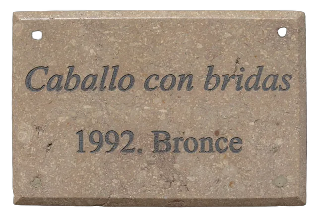 CABALLO CON BRIDAS