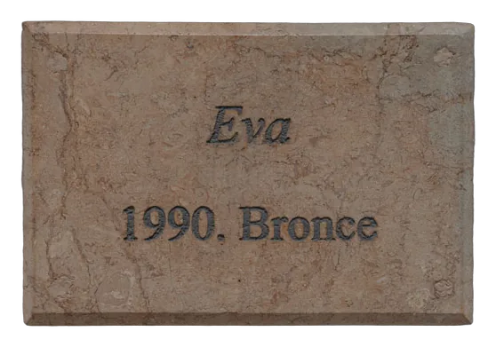 EVA
