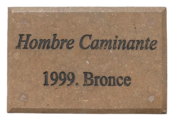 HOMBRE CAMINANTE