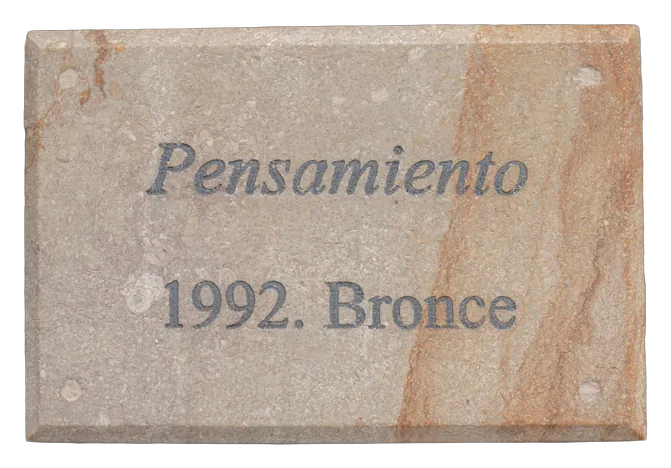 PENSAMIENTO