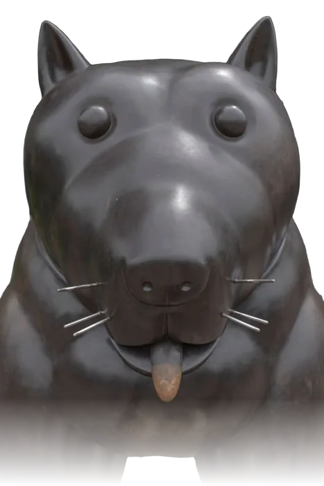 PERRO