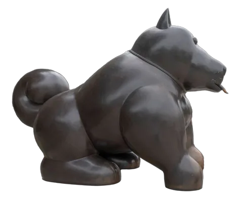 PERRO