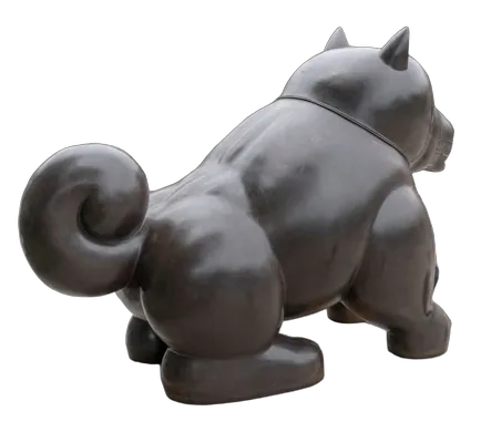 PERRO