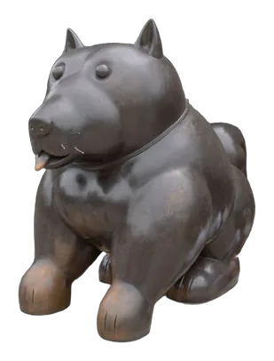 PERRO
