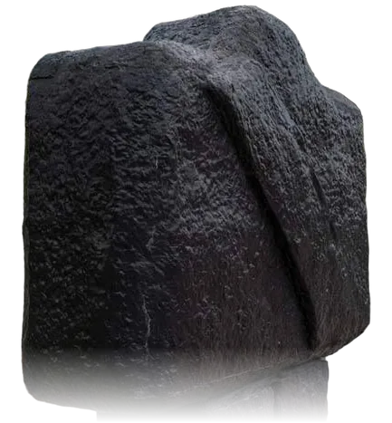 SIGNO HOMENAJE