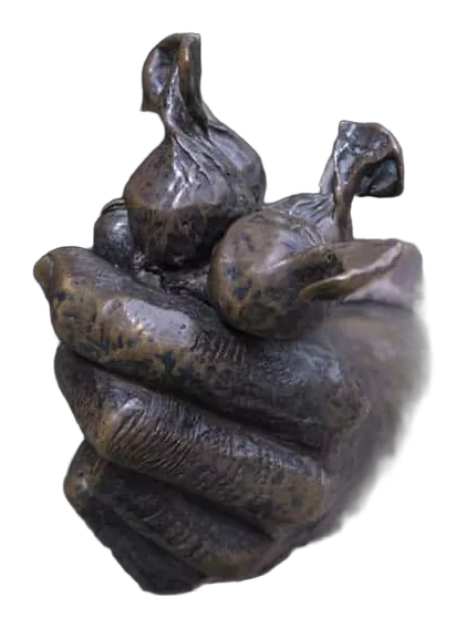 CHASERA