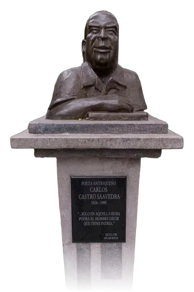 CARLOS CASTRO SAAVEDRA