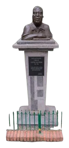 CARLOS CASTRO SAAVEDRA