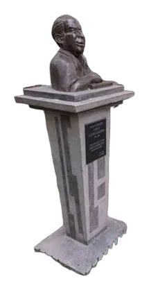 CARLOS CASTRO SAAVEDRA