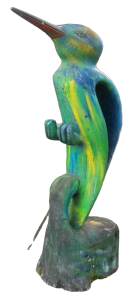 PAJARO
