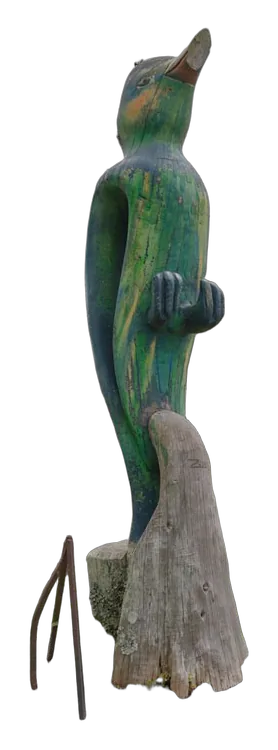 PAJARO