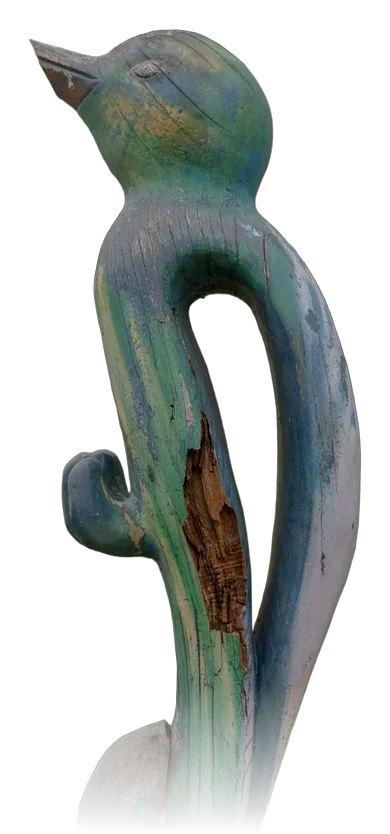 PAJARO
